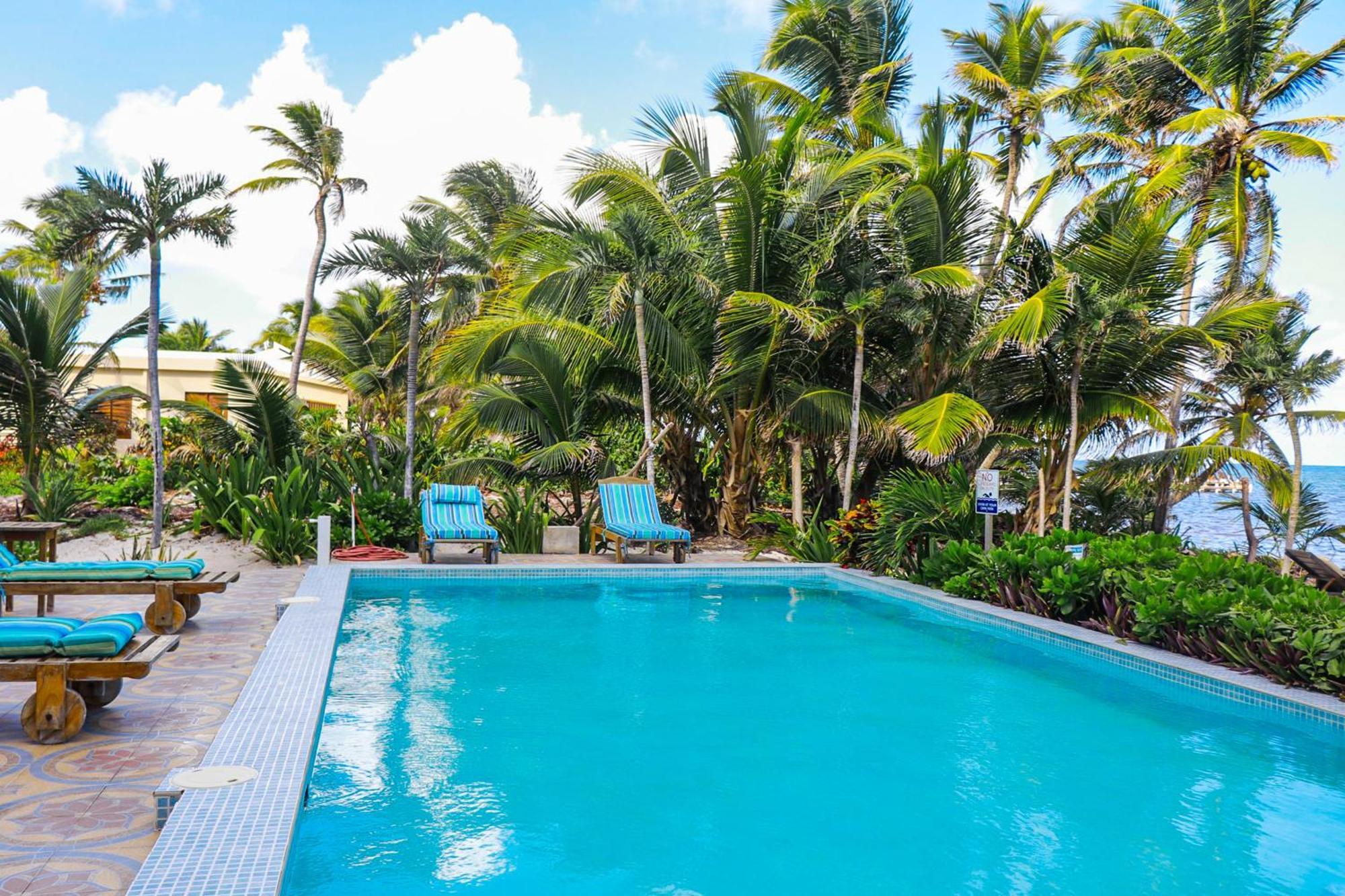 Blue Water Beach Villas San Pedro  Room photo