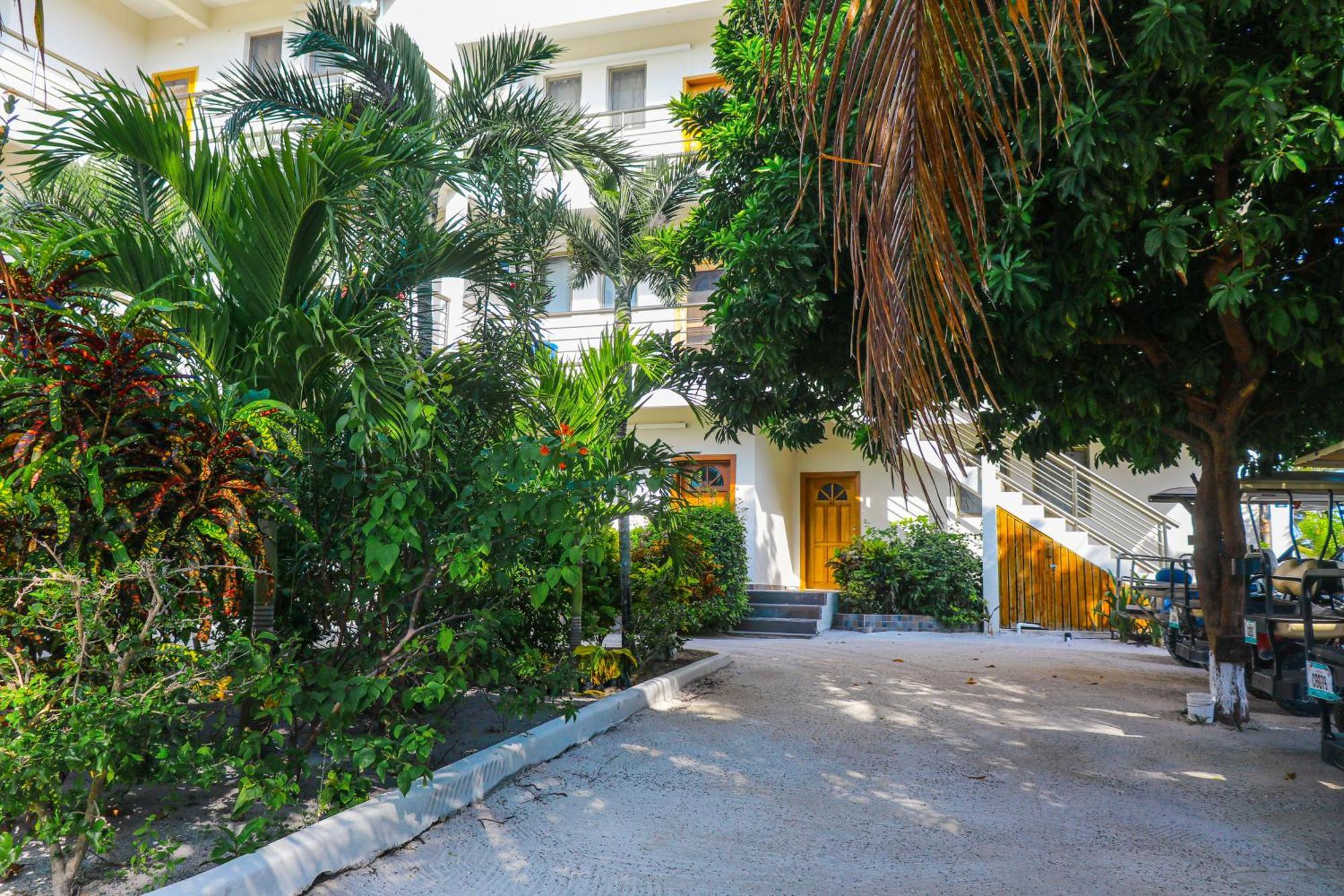 Blue Water Beach Villas San Pedro  Room photo